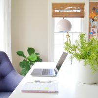 The Easiest House Plants & The Best Faux Plants I’ve Found
