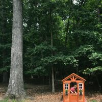 A Little Wooden Playhouse In The Woods