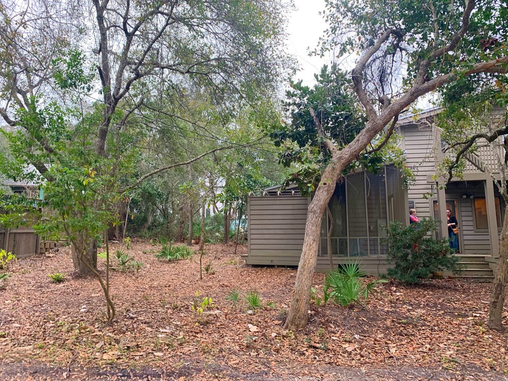 Before photo of house with empty backyard covered in dead leaves